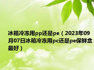 冰箱冷冻用pp还是pe（2023年09月07日冰箱冷冻用pc还是pe保鲜盒最好）