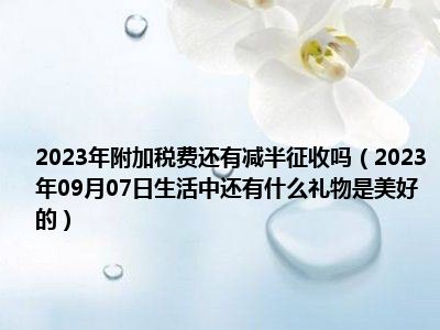 2023年附加税费还有减半征收吗（2023年09月07日生活中还有什么礼物是美好的）