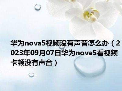 华为nova5视频没有声音怎么办（2023年09月07日华为nova5看视频卡顿没有声音）