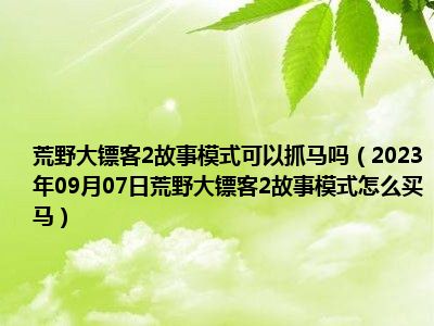 荒野大镖客2故事模式可以抓马吗（2023年09月07日荒野大镖客2故事模式怎么买马）