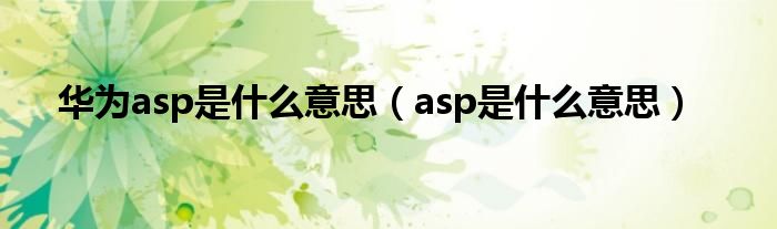  华为asp是什么意思（asp是什么意思）