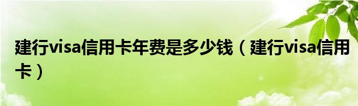  建行visa信用卡年费是多少钱（建行visa信用卡）