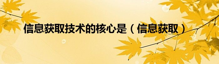  信息获取技术的核心是（信息获取）