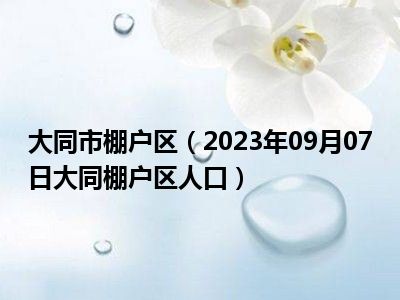 大同市棚户区（2023年09月07日大同棚户区人口）