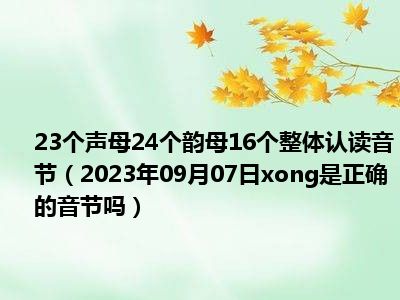 23个声母24个韵母16个整体认读音节（2023年09月07日xong是正确的音节吗）