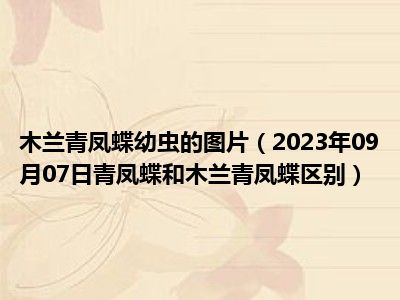 木兰青凤蝶幼虫的图片（2023年09月07日青凤蝶和木兰青凤蝶区别）