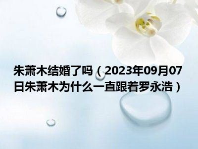 朱萧木结婚了吗（2023年09月07日朱萧木为什么一直跟着罗永浩）