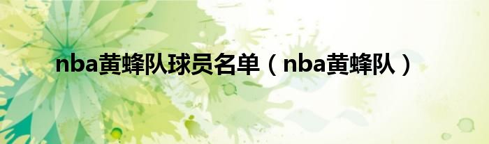  nba黄蜂队球员名单（nba黄蜂队）