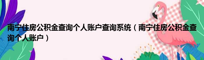 南宁住房公积金查询个人账户查询系统（南宁住房公积金查询个人账户）