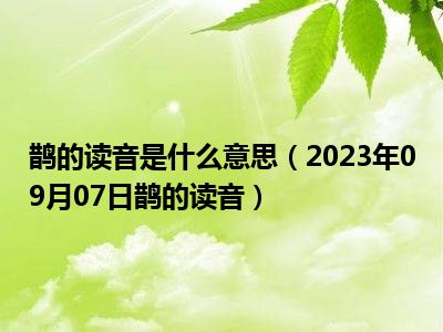 鹊的读音是什么意思（2023年09月07日鹊的读音）