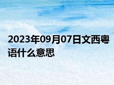 2023年09月07日文西粤语什么意思