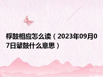 桴鼓相应怎么读（2023年09月07日鼙鼓什么意思）