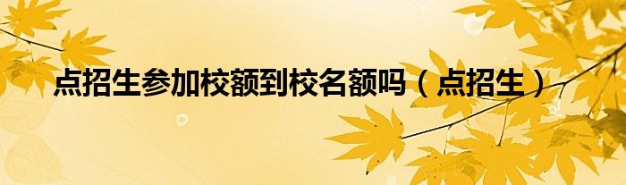  点招生参加校额到校名额吗（点招生）