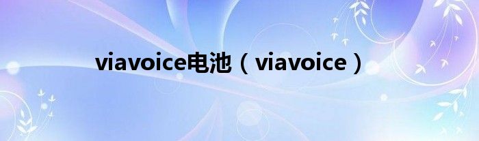  viavoice电池（viavoice）