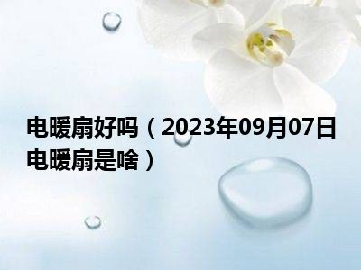 电暖扇好吗（2023年09月07日电暖扇是啥）