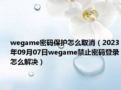 wegame密码保护怎么取消（2023年09月07日wegame禁止密码登录怎么解决）