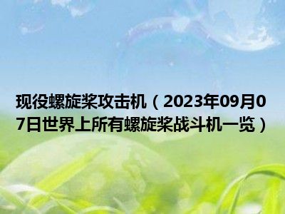 现役螺旋桨攻击机（2023年09月07日世界上所有螺旋桨战斗机一览）