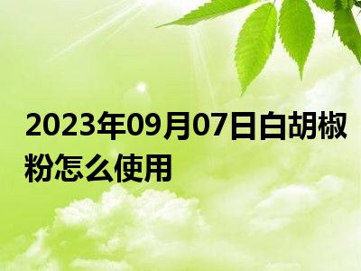 2023年09月07日白胡椒粉怎么使用