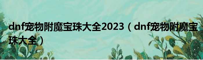 dnf宠物附魔宝珠大全2023（dnf宠物附魔宝珠大全）