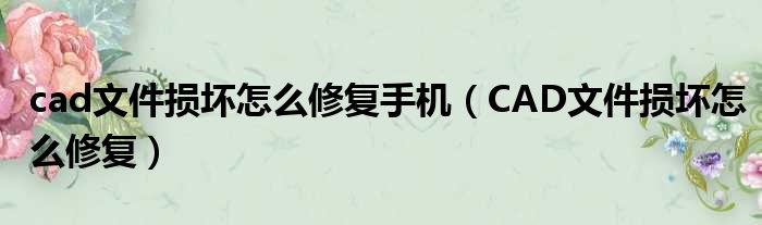 cad文件损坏怎么修复手机（CAD文件损坏怎么修复）