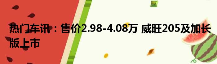 热门车讯：售价2.98-4.08万 威旺205及加长版上市