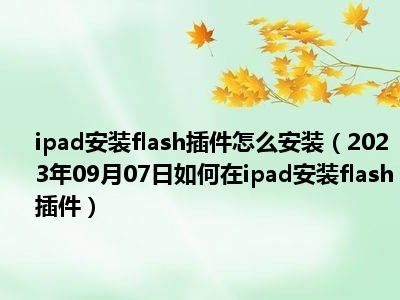 ipad安装flash插件怎么安装（2023年09月07日如何在ipad安装flash插件）