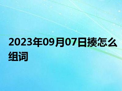 2023年09月07日揍怎么组词