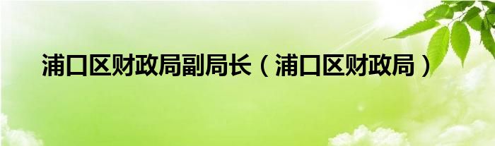  浦口区财政局副局长（浦口区财政局）