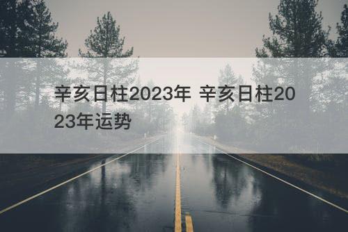 辛亥日柱2023年 辛亥日柱2023年运势