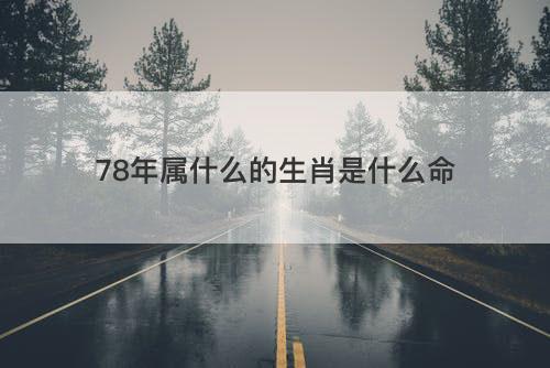 78年属什么的生肖是什么命