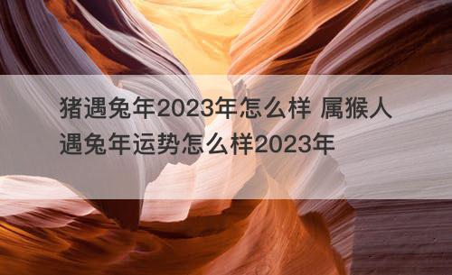 猪遇兔年2023年怎么样 属猴人遇兔年运势怎么样2023年