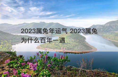 2023属兔年运气 2023属兔为什么百年一遇