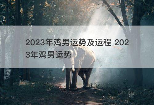 2023年鸡男运势及运程 2023年鸡男运势