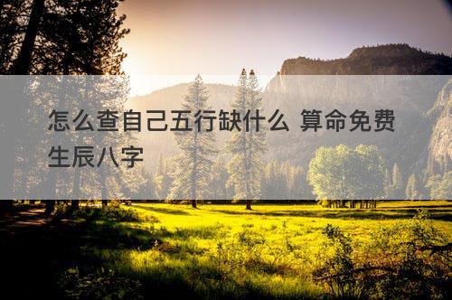 怎么查自己五行缺什么 算命免费 生辰八字