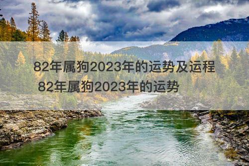 82年属狗2023年的运势及运程 82年属狗2023年的运势