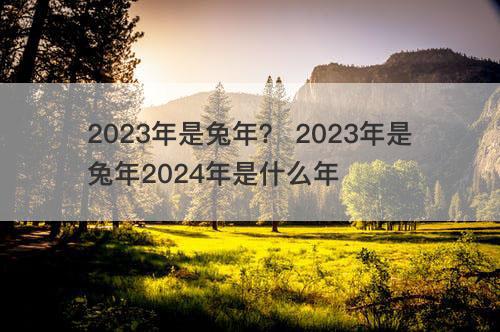 2023年是兔年 2023年是兔年2024年是什么年