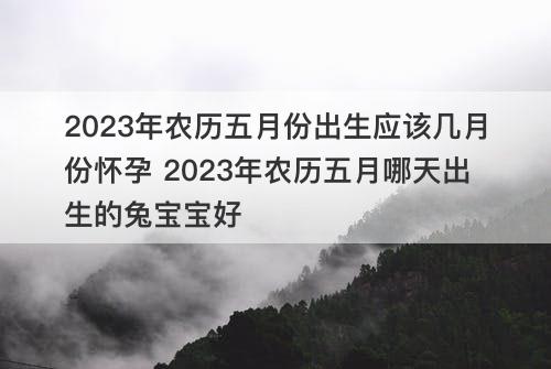 2023年农历五月份出生应该几月份怀孕 2023年农历五月哪天出生的兔宝宝好