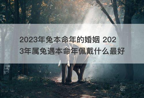 2023年兔本命年的婚姻 2023年属兔遇本命年佩戴什么最好