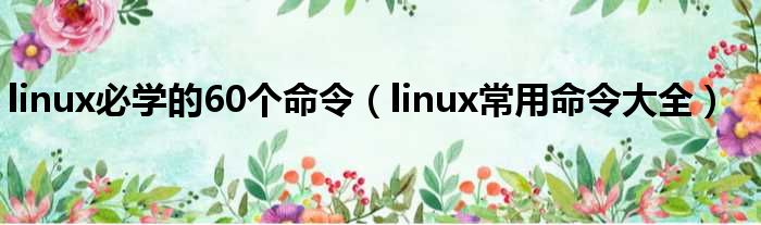 linux必学的60个命令（linux常用命令大全）