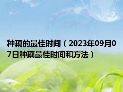 种藕的最佳时间（2023年09月07日种藕最佳时间和方法）