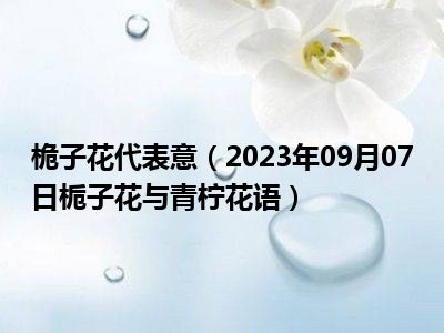 桅子花代表意（2023年09月07日栀子花与青柠花语）