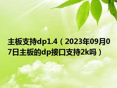 主板支持dp1.4（2023年09月07日主板的dp接口支持2k吗）