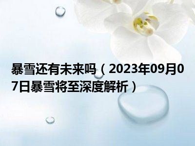 暴雪还有未来吗（2023年09月07日暴雪将至深度解析）