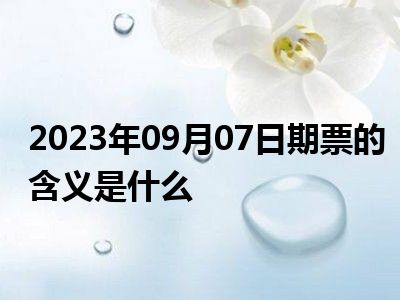 2023年09月07日期票的含义是什么