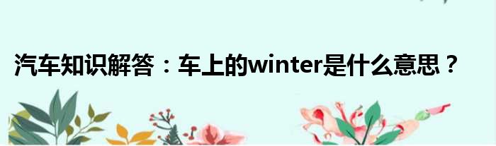 汽车知识解答：车上的winter是什么意思？