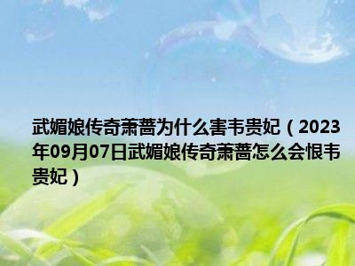 武媚娘传奇萧蔷为什么害韦贵妃（2023年09月07日武媚娘传奇萧蔷怎么会恨韦贵妃）