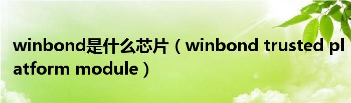  winbond是什么芯片（winbond trusted platform module）