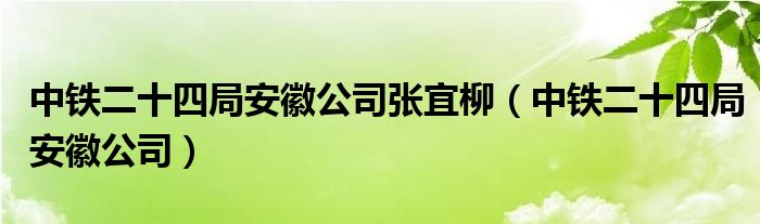  中铁二十四局安徽公司张宜柳（中铁二十四局安徽公司）