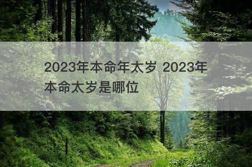 2023年本命年太岁 2023年本命太岁是哪位