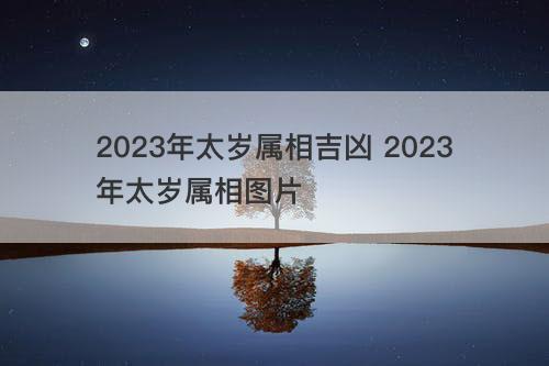 2023年太岁属相吉凶 2023年太岁属相图片